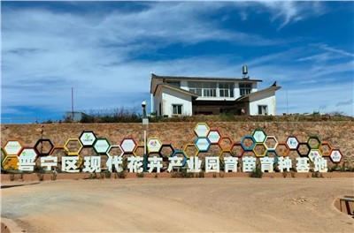 【案例故事】享誉世界的春城花都，半岛app下载体育
助力云南晋宁走出“芬芳”致富路