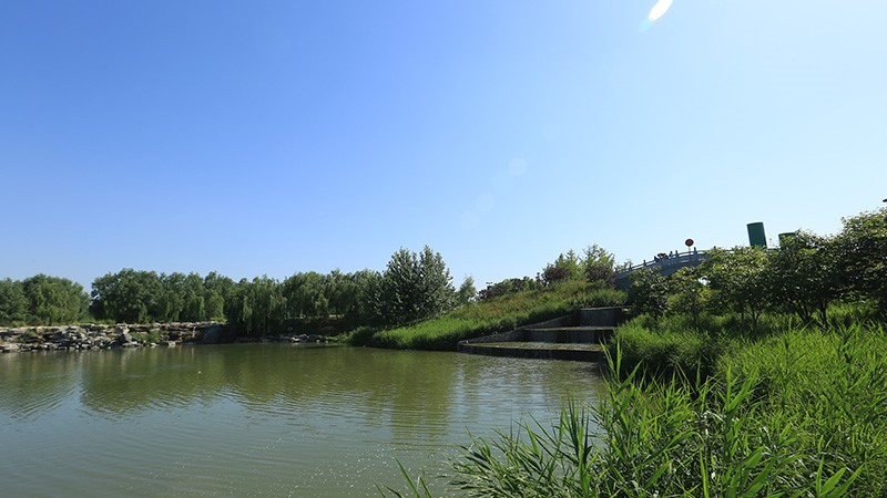 北京东郊湿地公园-采用半岛app下载体育
广播系统